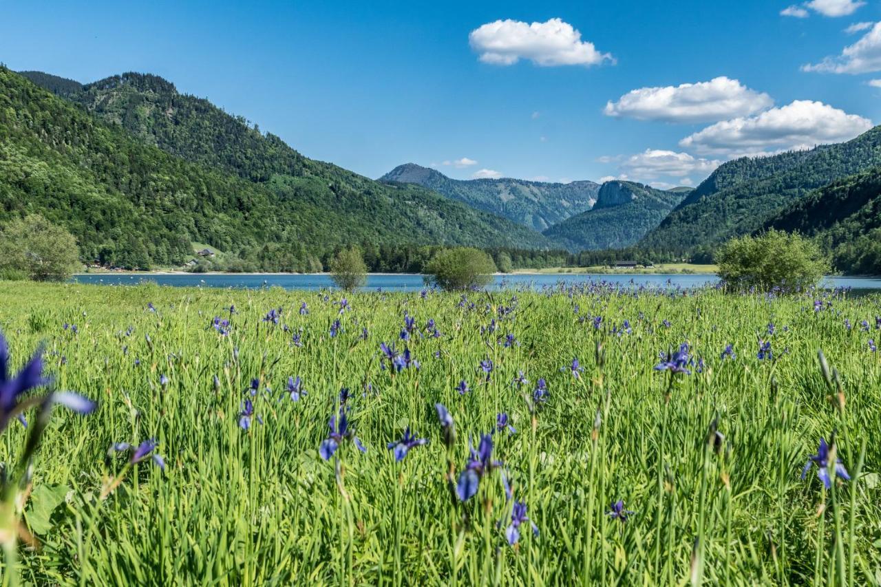 Hotel Fischerwirt Natur Waldspa Faistenau Eksteriør bilde