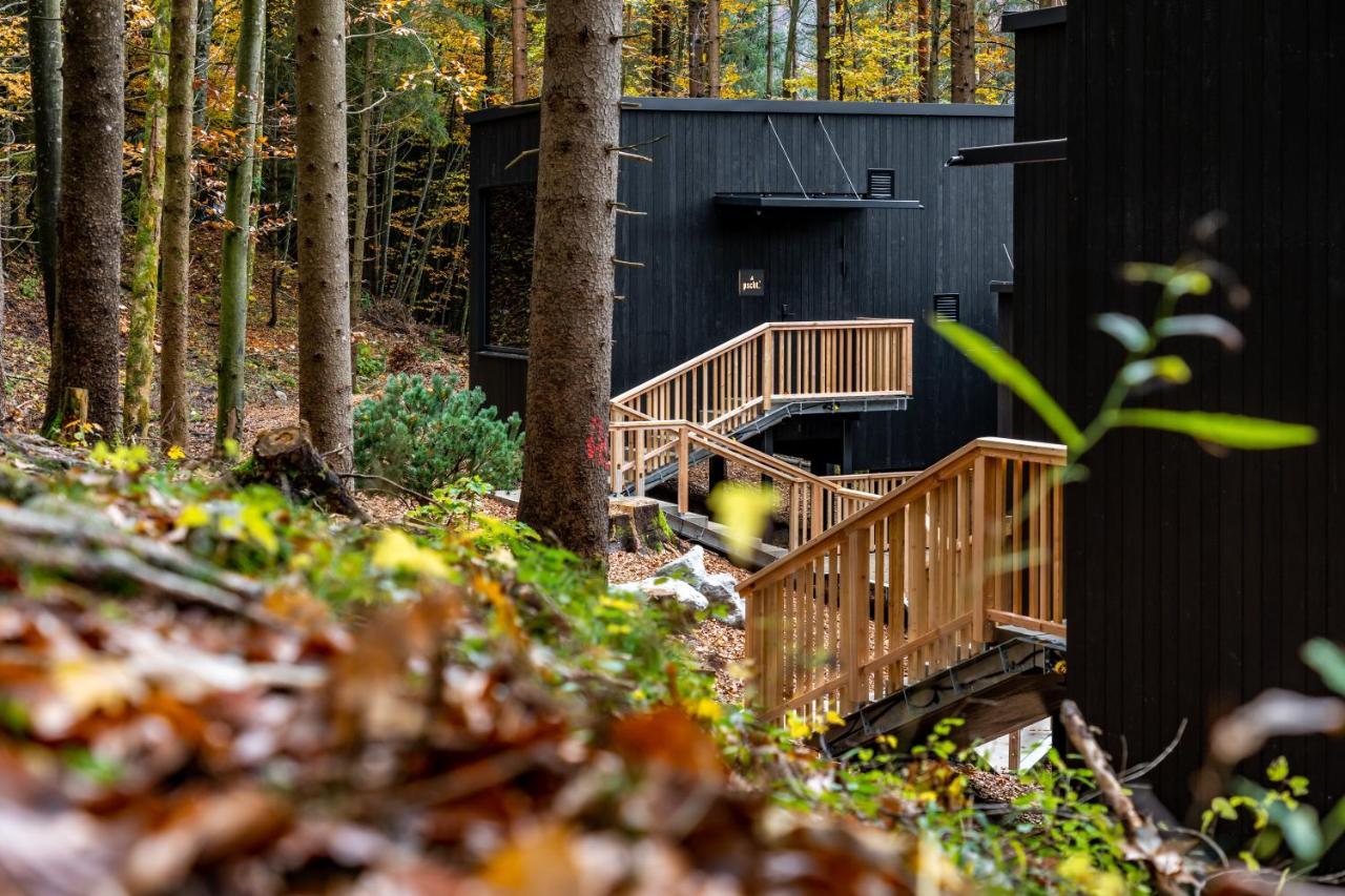 Hotel Fischerwirt Natur Waldspa Faistenau Eksteriør bilde